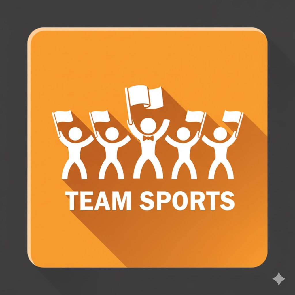 Takım Sporları